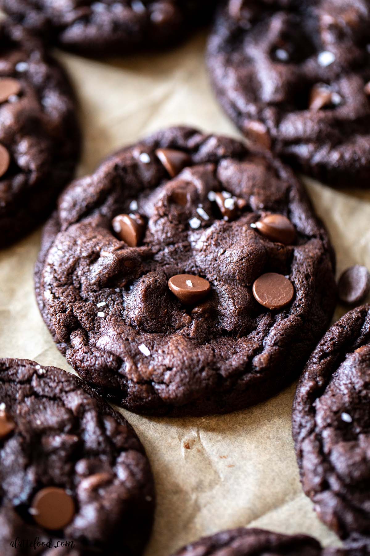 Double chocolate chip cookies